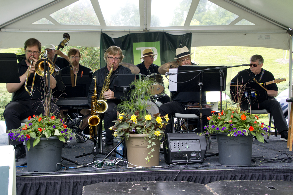 SwingStreet Combo, Peony 2025